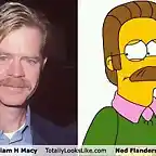 william-h-macy-flanders-parecidos-razonables-300x203