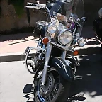 IMG_5001_389x583