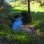 DSCN0059