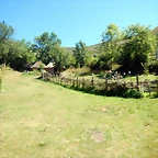 DSCN8387