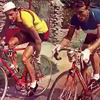 Kubler-Bobet