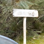 DSCN9504'5