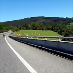 DSCN0006