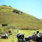 DSCN8608