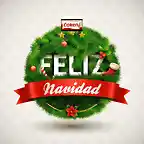 1Felicitacin-de-Navidad-2012