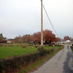 DSCN5062
