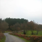 DSCN5061