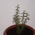 P3030065