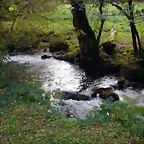 DSCN0567