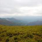 DSCN9889