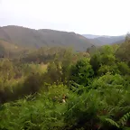 reglaje 017