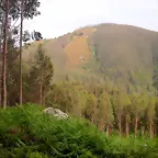 reglaje 018