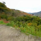 26-IMG_3879