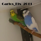 yunan y caramelo 7-9-2011