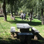IMG_0546