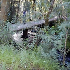 DSCN9729