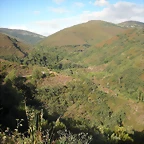 DSCN4285