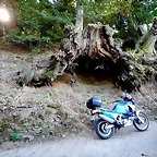 DSCN7713