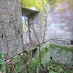 26-IMG_3165
