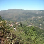DSCN7803