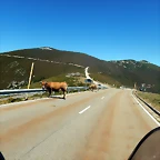 DSCN4653