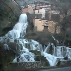 DSCN1979