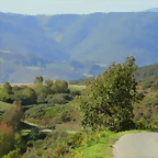 26-IMG_3409