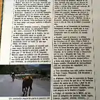 bicisport - copia (2)