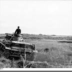 german-panzer-3-tanks-move-into-yugoslavia-april-1941