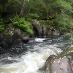 DSCN2759