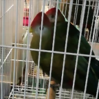 IMG_20170122_120304