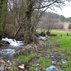 DSCN1185