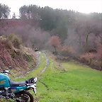 DSCN1184