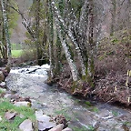 DSCN1191
