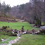 DSCN1190
