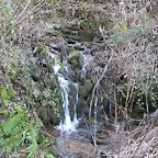 DSCN1188