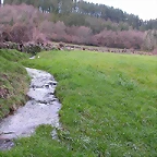 DSCN1189