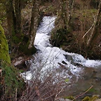 DSCN1186