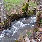 DSCN1193