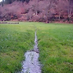 DSCN1194
