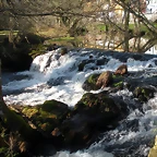 DSCN2131