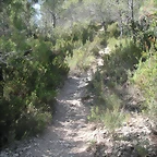 PICT0026