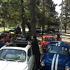 10947211_1050742874939962_580302461681337607_n
