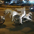 moto caballo