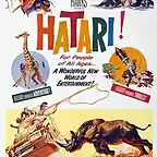 Hatari-1