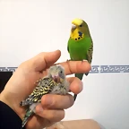 20190324_092945