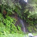 DSCN2232