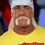 hulk-hogan