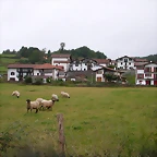 DSCN3683