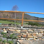 DSCN7960